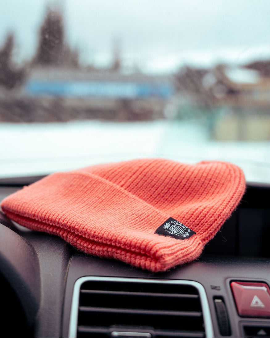 Roaming Beanie
